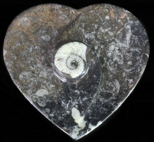 Heart Shaped Fossil Goniatite Dish #61278